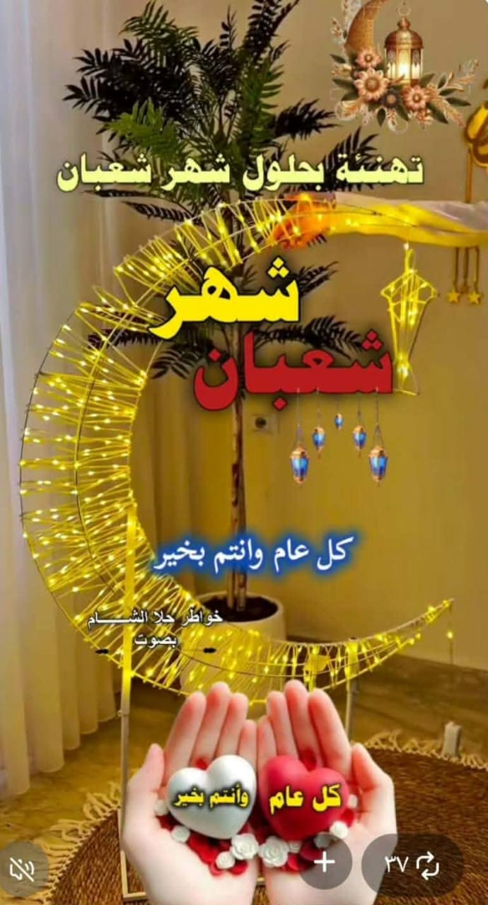 ���� ������_lJ79V