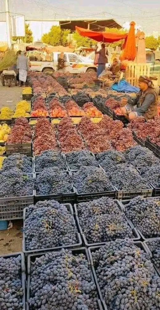 ���� ���� �������_gyJMz